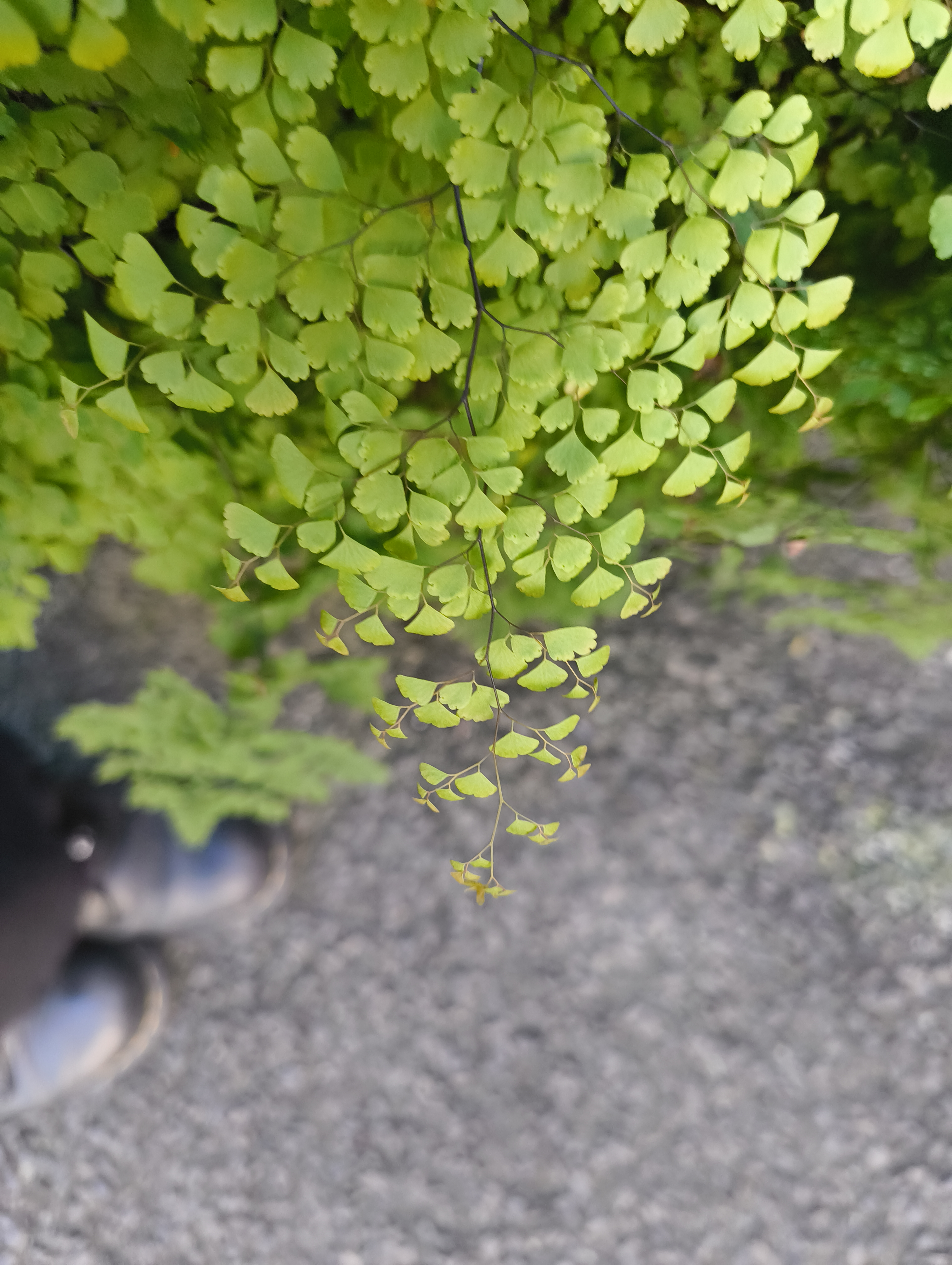 Inspiration image 1