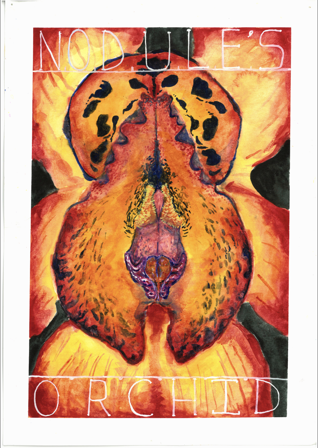 Artwork titled Nodules orchid