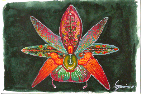 Nodule's Orchid 2024
